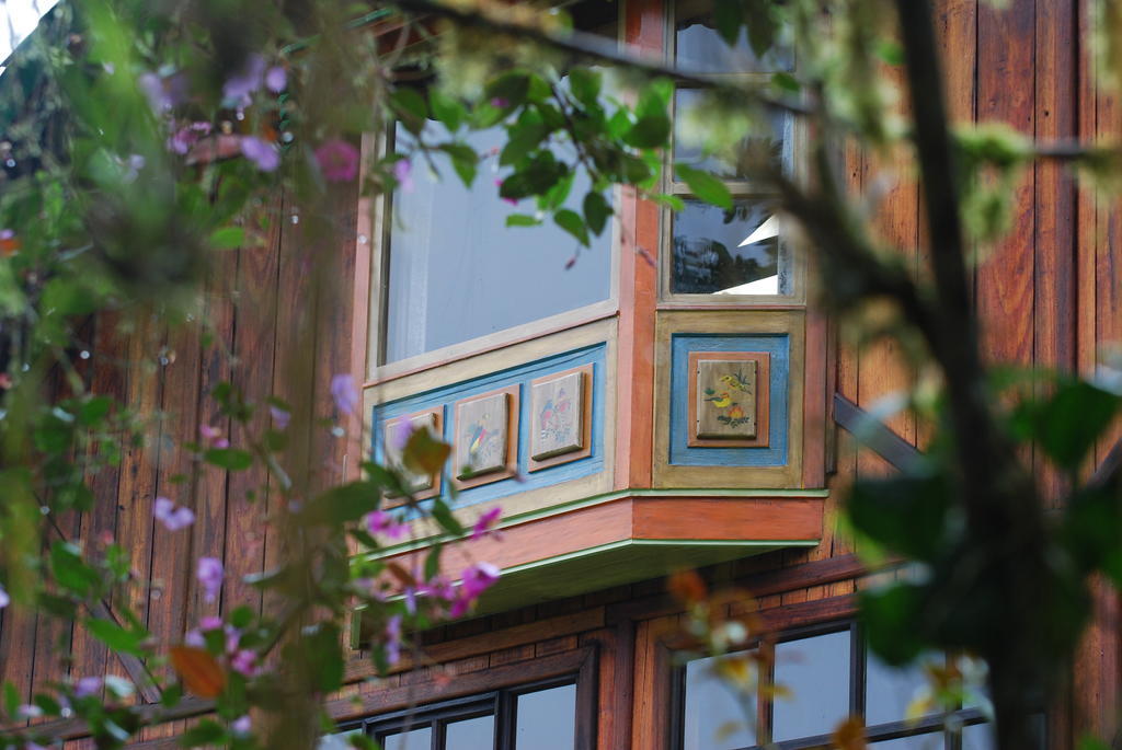 Sachatamia Lodge Міндо Екстер'єр фото